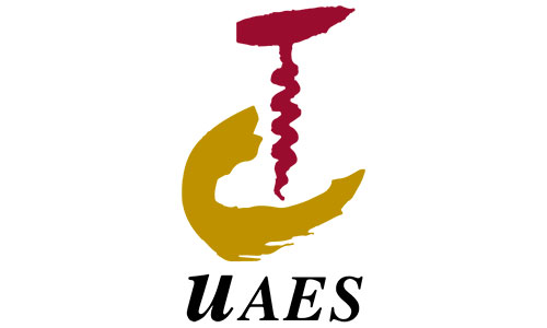 logo uaes
